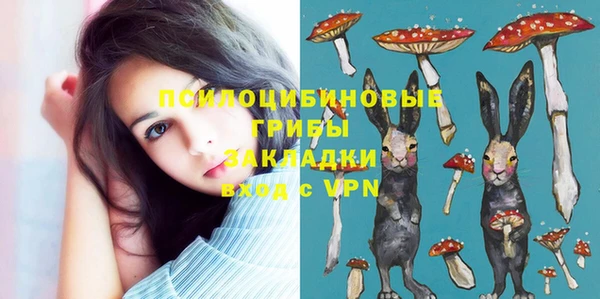 ГАЛЛЮЦИНОГЕННЫЕ ГРИБЫ Балабаново