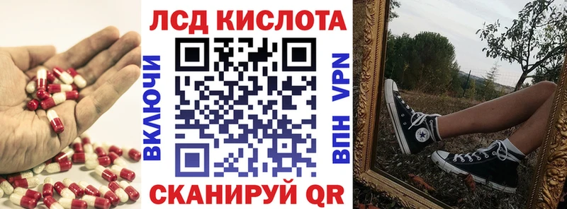 OMG онион Горбатов Лсд 25 экстази ecstasy где найти